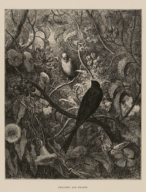 FR6674825107_050_GD4-0033_0226_resize The Fables of La Fontaine, Jean, de La Fontaine, s.d., Londres, 1885