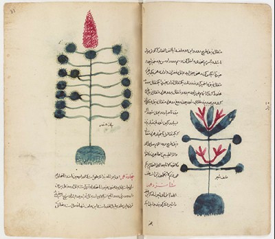 Recueil de textes ou extraits de textes scientifiques, de sciences occultes et de magie, Janvier 1878, ms. pers. 93
